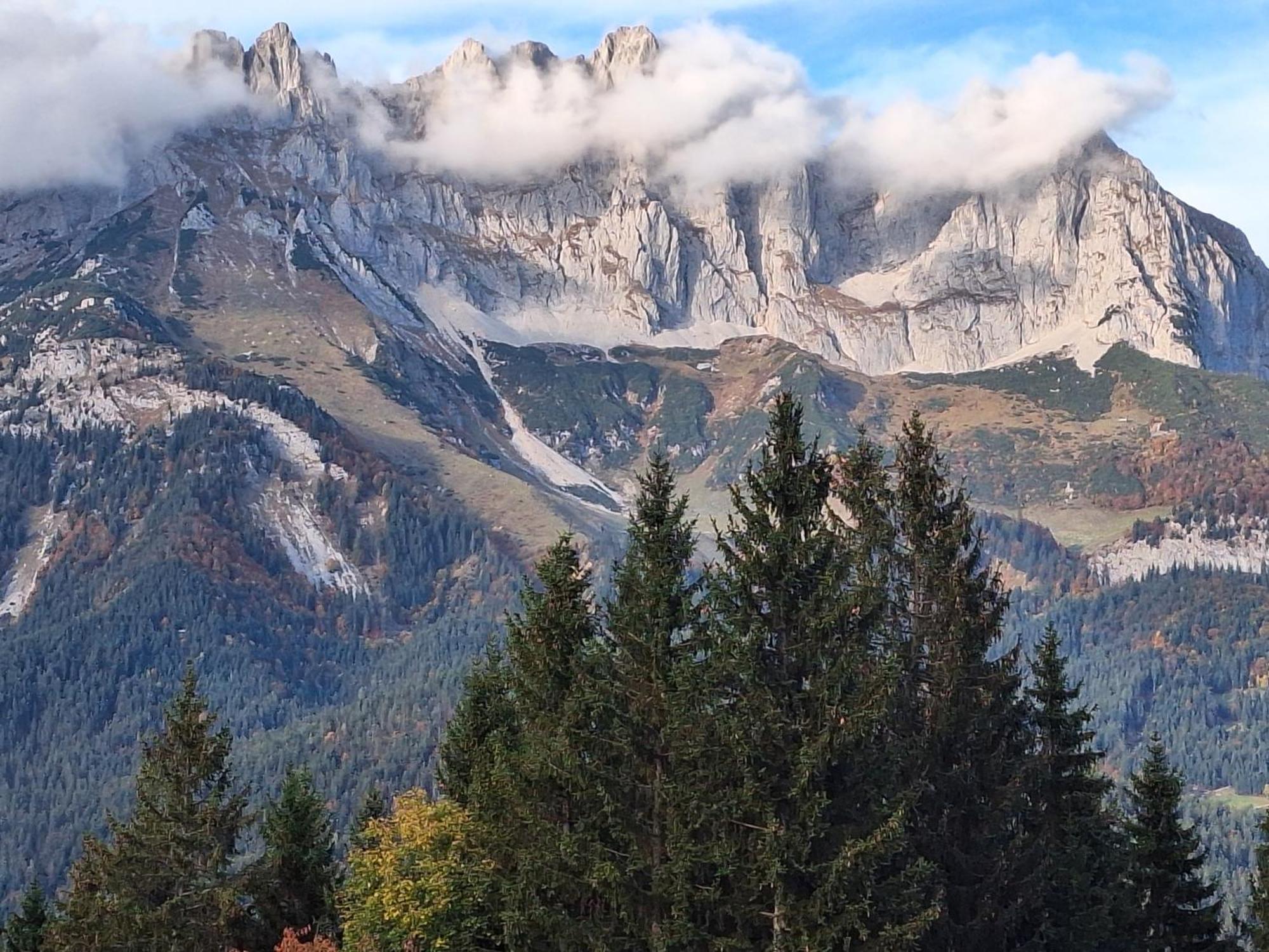 Apartment Unterhollenau Going am Wilden Kaiser エクステリア 写真