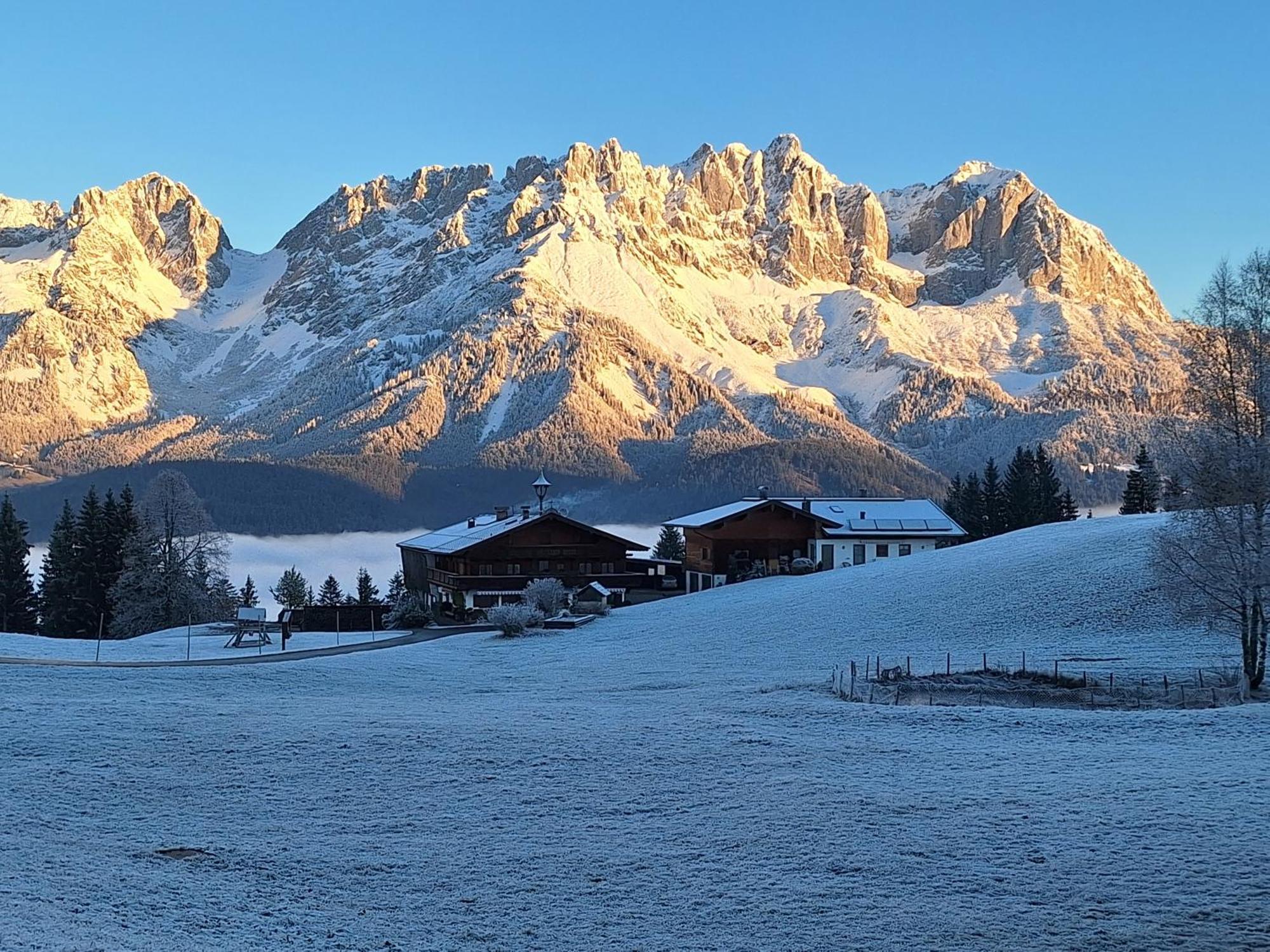 Apartment Unterhollenau Going am Wilden Kaiser エクステリア 写真